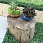 בית נופש Amaryllis *
